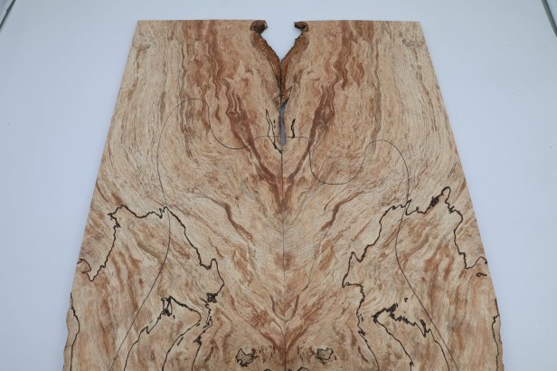 Buk Beech Wood spalted drewniany top na gitarę guitar top