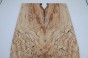 Buk Beech Wood spalted drewniany top na gitarę guitar top