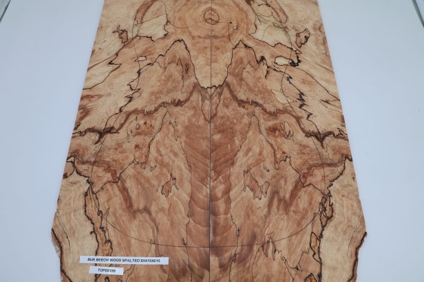 Buk Beech Wood spalted drewniany top na gitarę guitar top