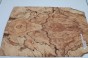 Buk Beech Wood spalted drewniany top na gitarę guitar top
