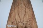 Buk Beech Wood spalted drewniany top na gitarę guitar top
