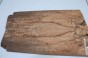 Buk Beech Wood spalted drewniany top na gitarę guitar top