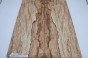 Buk Beech Wood spalted drewniany top na gitarę guitar top
