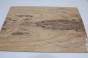 Czarna Limba Black Limba drewniany top na gitarę guitar top