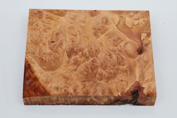 Lipa czeczot burl linden lime tree basswood stabilizowane drewno na biżuterię stabilized wood for jewelry