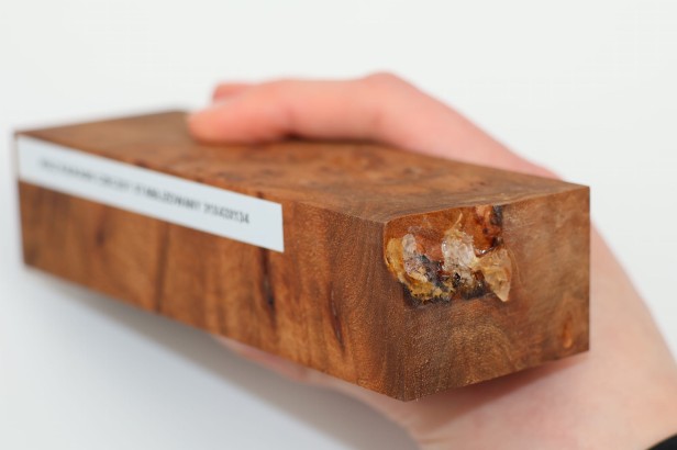 Wiąz Kaukaski Caucasian Elm czeczot burl stabilizowane drewno na rękojeść noża stabilized wood for knifes