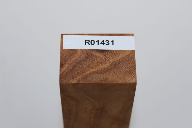 Wiąz Kaukaski Caucasian Elm czeczot burl stabilizowane drewno na rękojeść noża stabilized wood for knifes