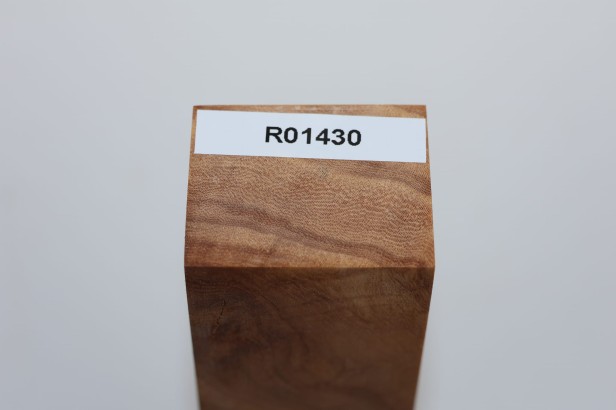 Wiąz Kaukaski Caucasian Elm stabilizowane drewno na rękojeść noża stabilized wood for knifes