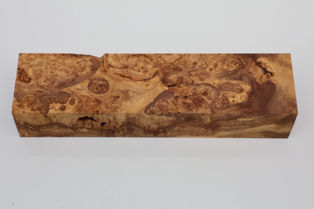 Wiąz Kaukaski Caucasian Elm czeczot burl stabilizowane drewno na rękojeść noża stabilized wood for knifes