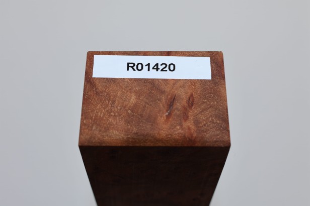 Wiąz Kaukaski Caucasian Elm czeczot burl stabilizowane drewno na rękojeść noża stabilized wood for knifes