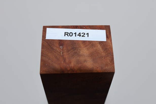 Wiąz Kaukaski Caucasian Elm czeczot burl stabilizowane drewno na rękojeść noża stabilized wood for knifes