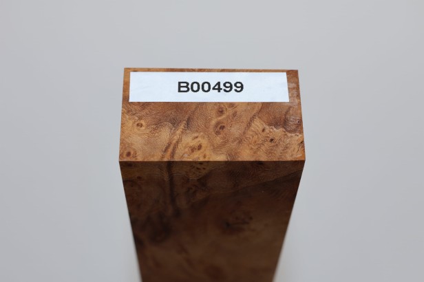 Wiąz Kaukaski Caucasian Elm czeczot burl stabilizowane drewno na biżuterię stabilized wood for jewelry