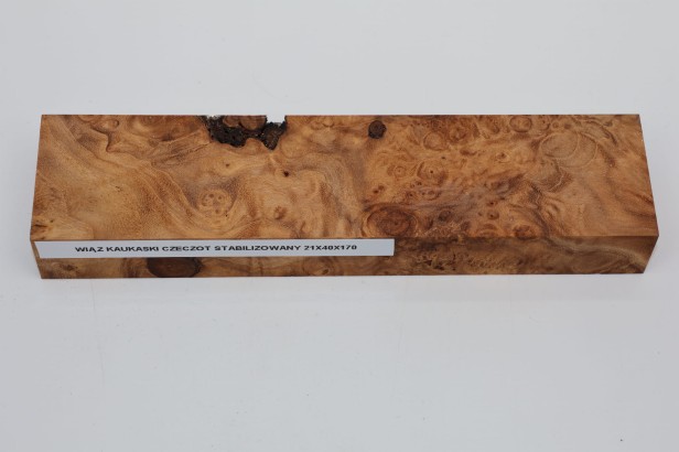 Wiąz Kaukaski Caucasian Elm czeczot burl stabilizowane drewno na biżuterię stabilized wood for jewelry
