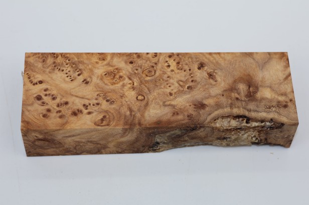 Wiąz Kaukaski Caucasian Elm czeczot burl stabilizowane drewno na biżuterię stabilized wood for jewelry