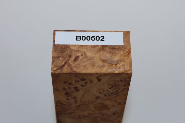 Wiąz Kaukaski Caucasian Elm czeczot burl stabilizowane drewno na biżuterię stabilized wood for jewelry