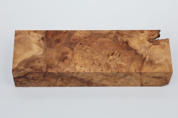 Wiąz Kaukaski Caucasian Elm czeczot burl stabilizowane drewno na biżuterię stabilized wood for jewelry