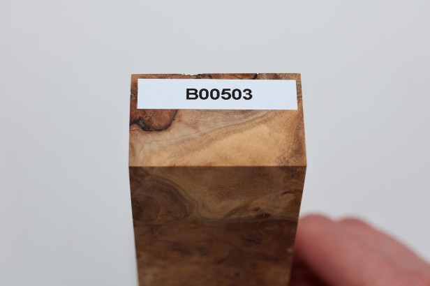 Wiąz Kaukaski Caucasian Elm czeczot burl stabilizowane drewno na biżuterię stabilized wood for jewelry