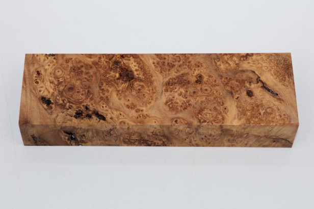 Wiąz Kaukaski Caucasian Elm czeczot burl stabilizowane drewno na biżuterię stabilized wood for jewelry