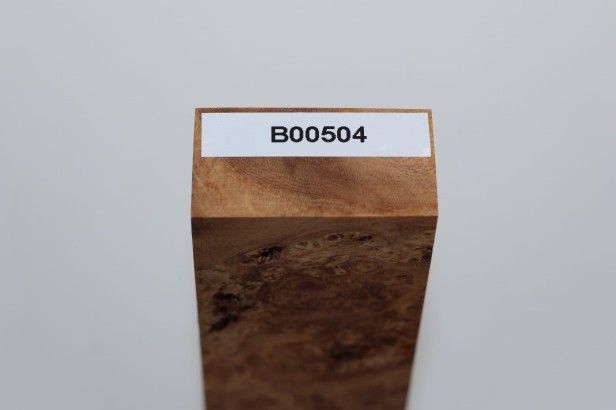 Wiąz Kaukaski Caucasian Elm czeczot burl stabilizowane drewno na biżuterię stabilized wood for jewelry