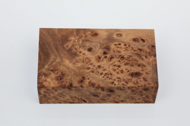 Wiąz Kaukaski Caucasian Elm czeczot burl stabilizowane drewno na biżuterię stabilized wood for jewelry