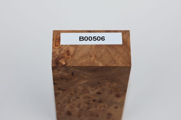 Wiąz Kaukaski Caucasian Elm czeczot burl stabilizowane drewno na biżuterię stabilized wood for jewelry