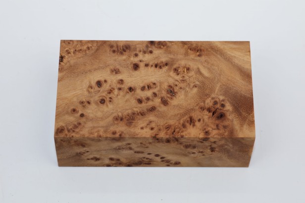Wiąz Kaukaski Caucasian Elm czeczot burl stabilizowane drewno na biżuterię stabilized wood for jewelry
