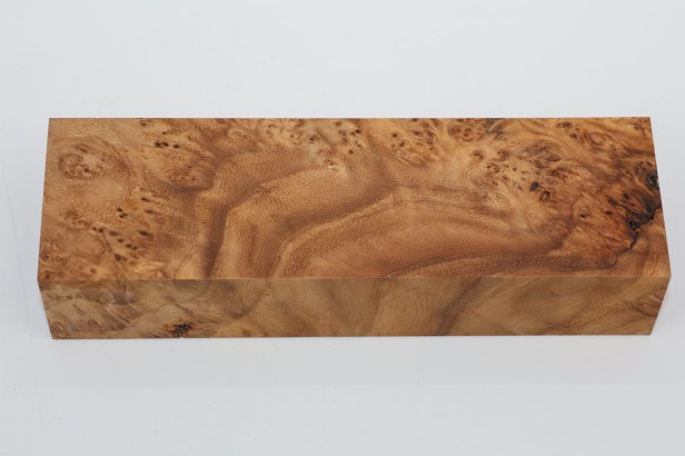 Wiąz Kaukaski Caucasian Elm czeczot burl stabilizowane drewno na biżuterię stabilized wood for jewelry