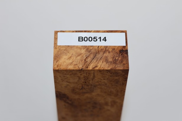 Wiąz Kaukaski Caucasian Elm czeczot burl stabilizowane drewno na biżuterię stabilized wood for jewelry