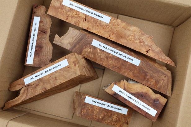 Wiąz Kaukaski Caucasian Elm czeczot burl drewno na biżuterię wood for jewelry