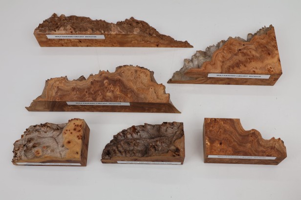 Wiąz Kaukaski Caucasian Elm czeczot burl drewno na biżuterię wood for jewelry
