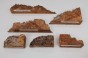 Wiąz Kaukaski Caucasian Elm czeczot burl drewno na biżuterię wood for jewelry