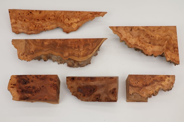 Wiąz Kaukaski Caucasian Elm czeczot burl drewno na biżuterię wood for jewelry