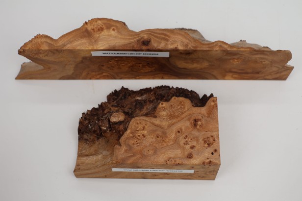 Wiąz Kaukaski Caucasian Elm czeczot burl drewno na biżuterię wood for jewelry