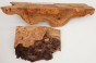 Wiąz Kaukaski Caucasian Elm czeczot burl drewno na biżuterię wood for jewelry
