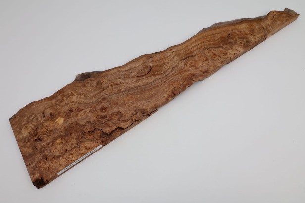 Wiąz Kaukaski Caucasian Elm czeczot burl drewno na biżuterię wood for jewelry