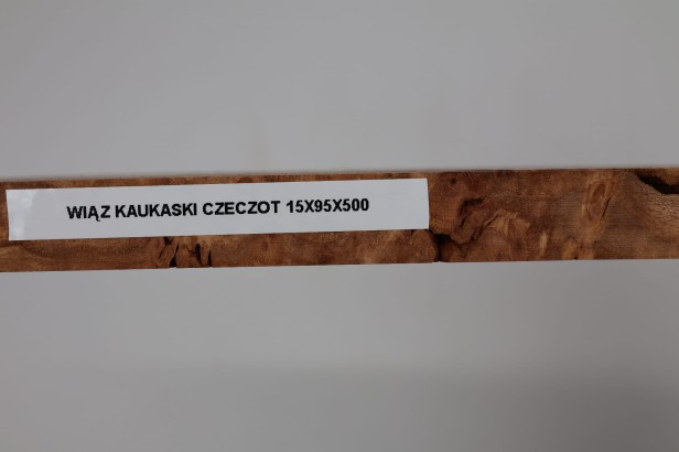 Wiąz Kaukaski Caucasian Elm czeczot burl drewno na biżuterię wood for jewelry