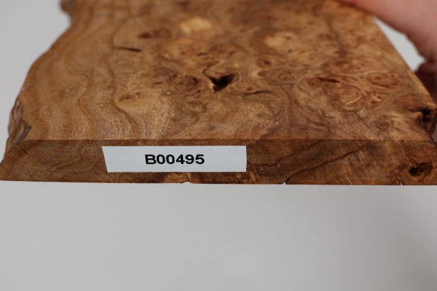 Wiąz Kaukaski Caucasian Elm czeczot burl drewno na biżuterię wood for jewelry