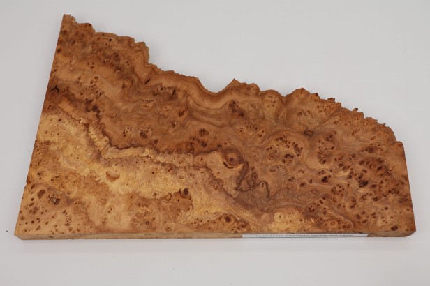 Wiąz Kaukaski Caucasian Elm czeczot burl drewno na biżuterię wood for jewelry