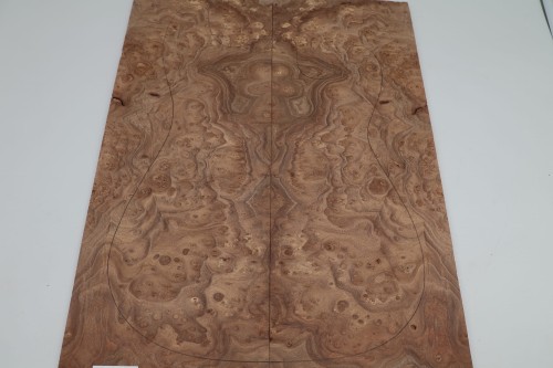 Wiąz Kaukaski Caucasian Elm drewniany top na gitarę guitar top