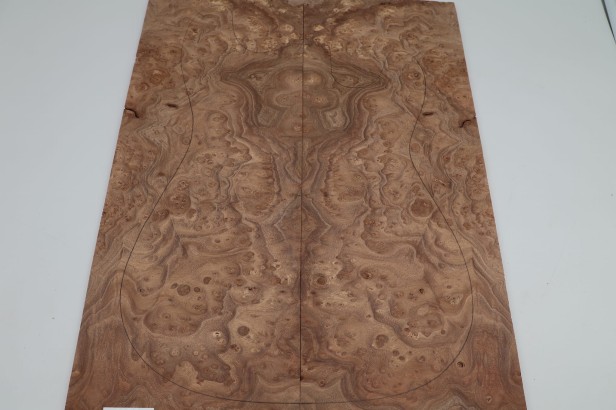 Wiąz Kaukaski Caucasian Elm drewniany top na gitarę guitar top