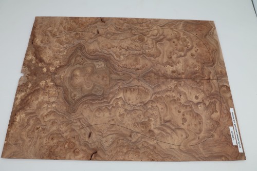 Wiąz Kaukaski Caucasian Elm drewniany top na gitarę guitar top