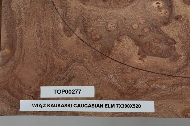 Wiąz Kaukaski Caucasian Elm drewniany top na gitarę guitar top