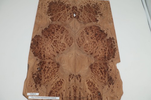 Wiąz Kaukaski Caucasian Elm drewniany top na gitarę guitar top