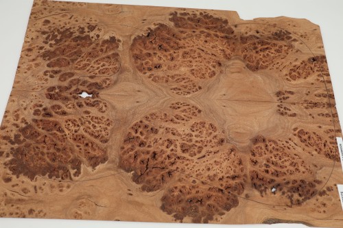 Wiąz Kaukaski Caucasian Elm drewniany top na gitarę guitar top