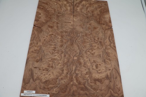 Wiąz Kaukaski Caucasian Elm drewniany top na gitarę guitar top