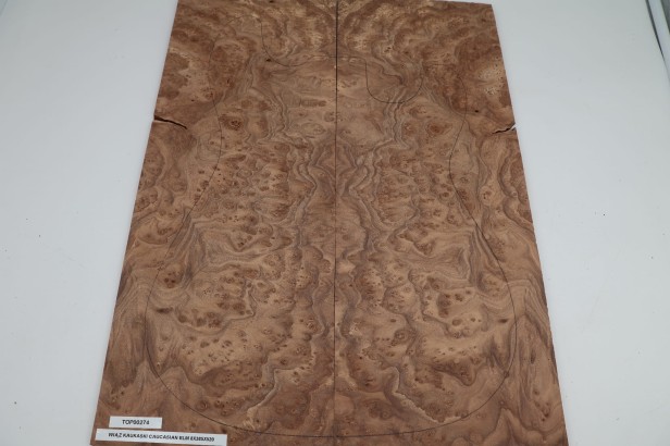 Wiąz Kaukaski Caucasian Elm drewniany top na gitarę guitar top