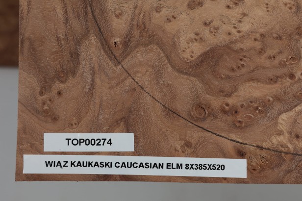 Wiąz Kaukaski Caucasian Elm drewniany top na gitarę guitar top
