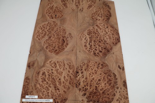 Wiąz Kaukaski Caucasian Elm drewniany top na gitarę guitar top