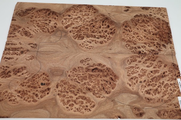 Wiąz Kaukaski Caucasian Elm drewniany top na gitarę guitar top