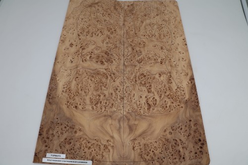 Wiąz Kaukaski Caucasian Elm drewniany top na gitarę guitar top